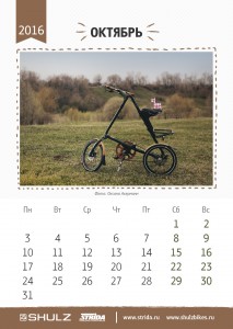 calendar_2016a11